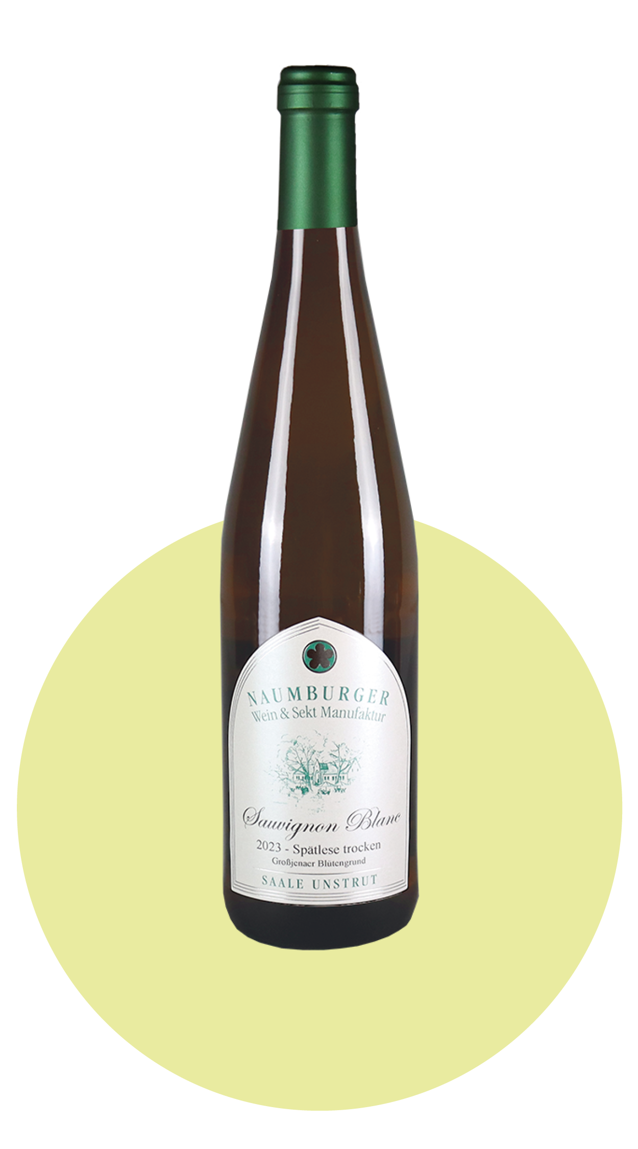 SAUVIGNON BLANC 2023 - TROCKEN